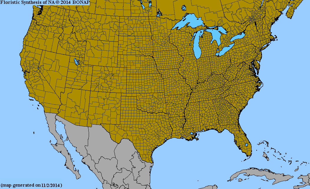 County distribution map of Lithophila muscoides - Talustuft
